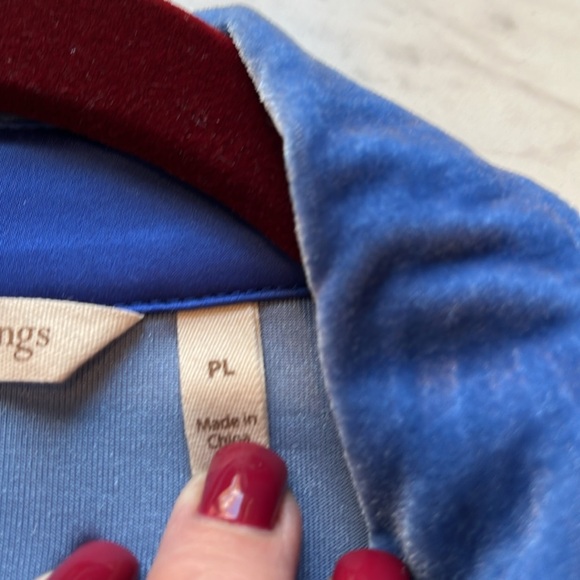 Soft Surroundings Blue Velvet Tunic PL - Picture 4 of 6